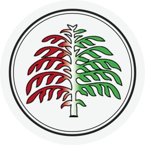 Madžarska narodna samoupravna skupnost